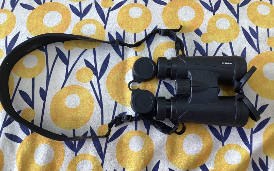 Why you Should travel with Binoculars